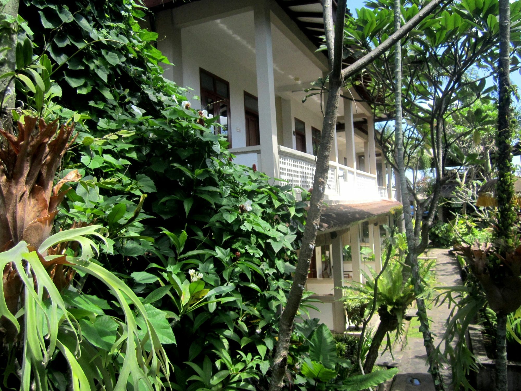 Casa Ganesha Hotel Ubud Buitenkant foto